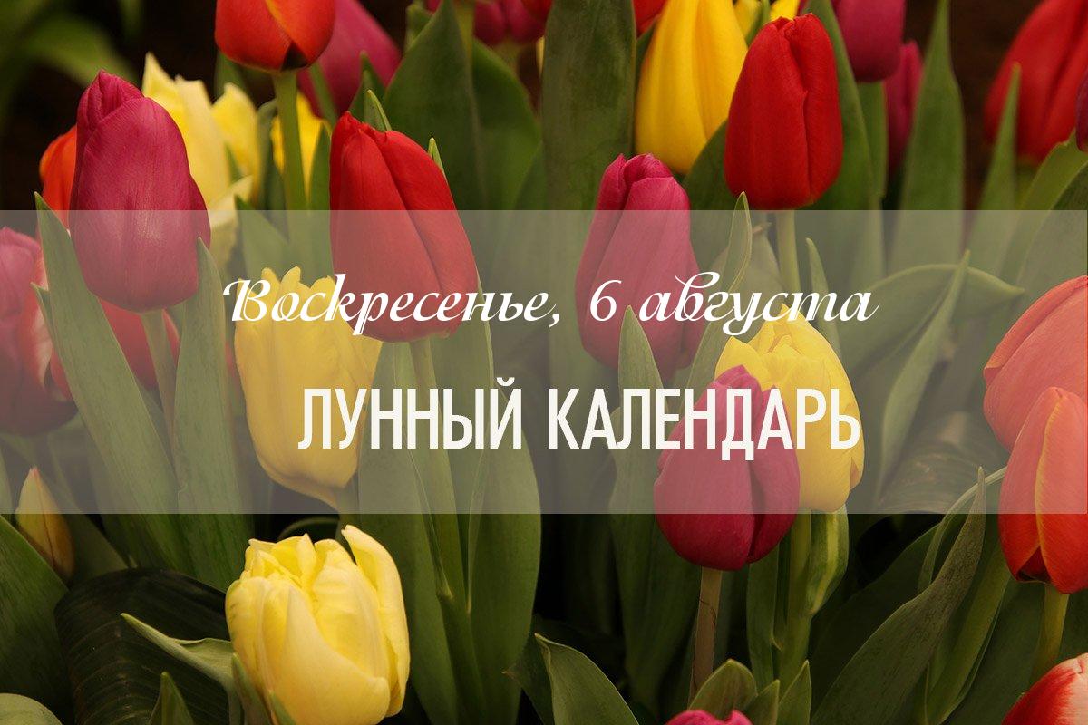 Влияние дня (общий показатель) – день неблагоприятный. В этот день не рекомендуется начинать новые дела.